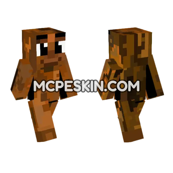 Poop Skin Minecraft Bedrock skin, front and back
