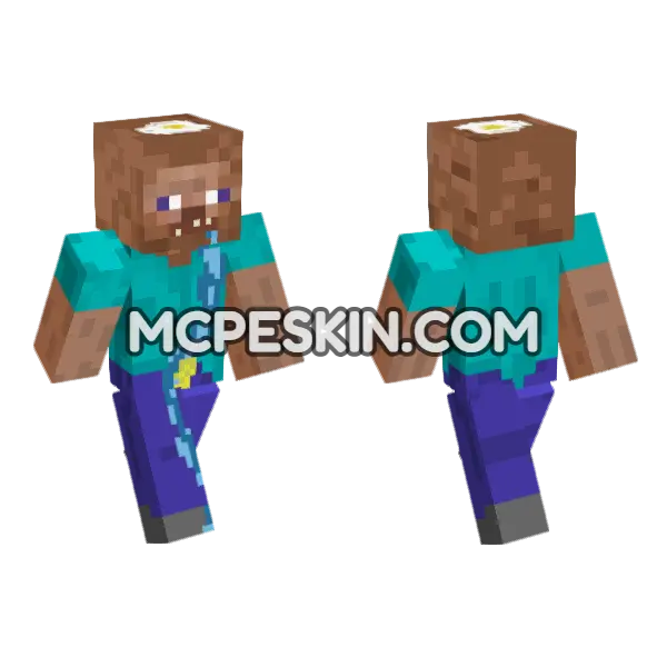 Poor Idiot Steve, front and back