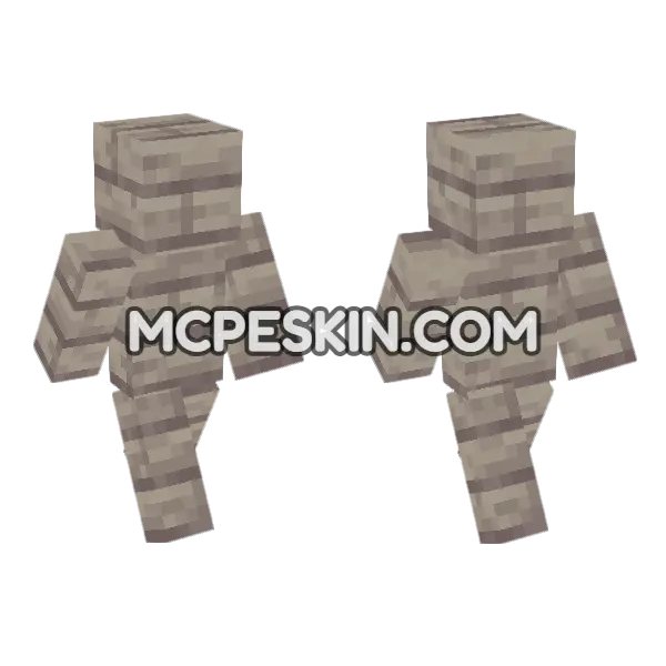 Poplar Planks Minecraft Bedrock skin, front and back