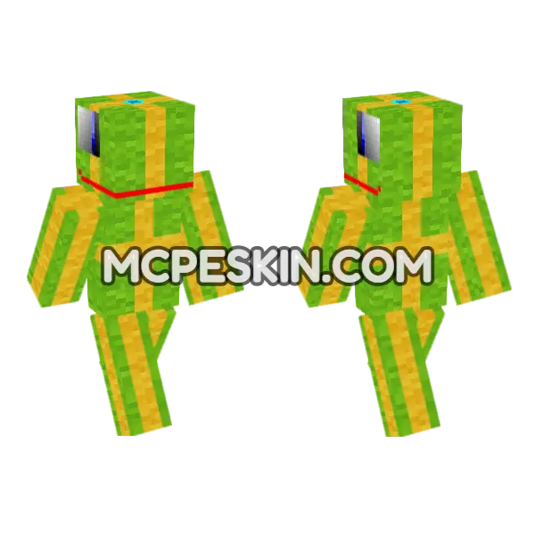 Present Raptor 3 Minecraft Bedrock skin, front and back