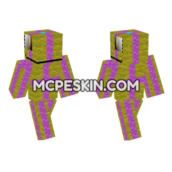 Present Raptor 5667594 Minecraft Bedrock skin, front and back