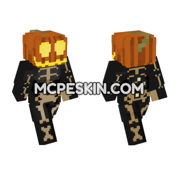 Pumpkin Cat, front and back