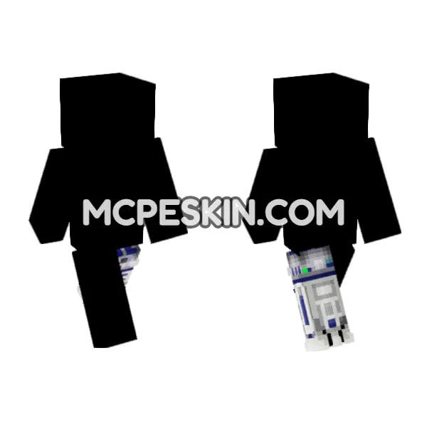 R2-D2 Star Wars, front and back