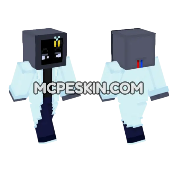 Rainbow Bee Doctor Minecraft Bedrock skin, front and back