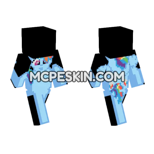 Rainbow Dash, front and back