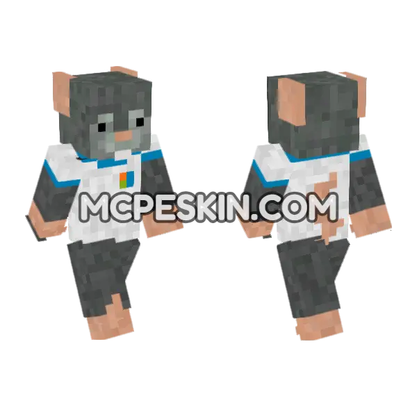 Rat Skin Minecraft Bedrock skin, front and back