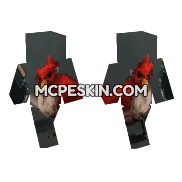 Red Bird Skin Minecraft Bedrock skin, front and back