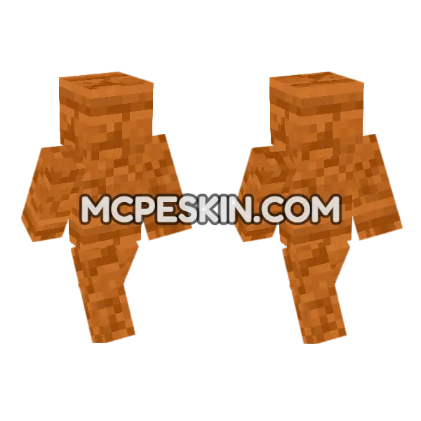 Red Sandstone Minecraft Bedrock skin, front and back