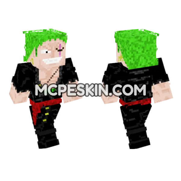 Roronoa Zoro, front and back