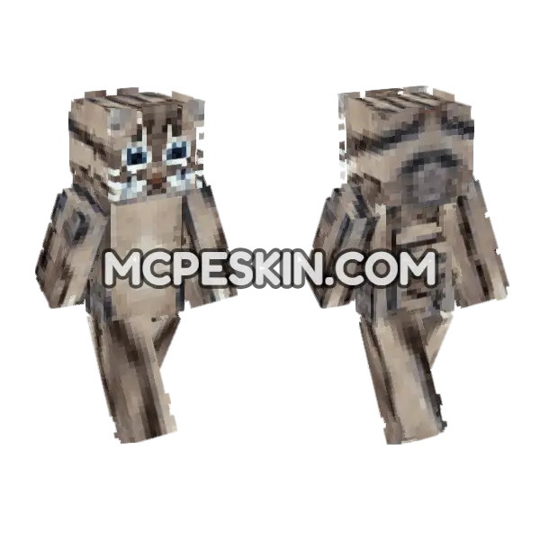Rusty Spotted Cat, front and back