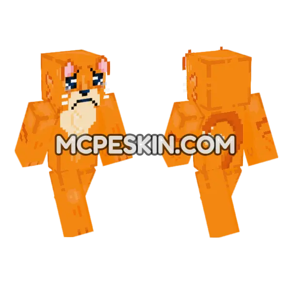 Sad Orange Cat Minecraft Bedrock skin, front and back