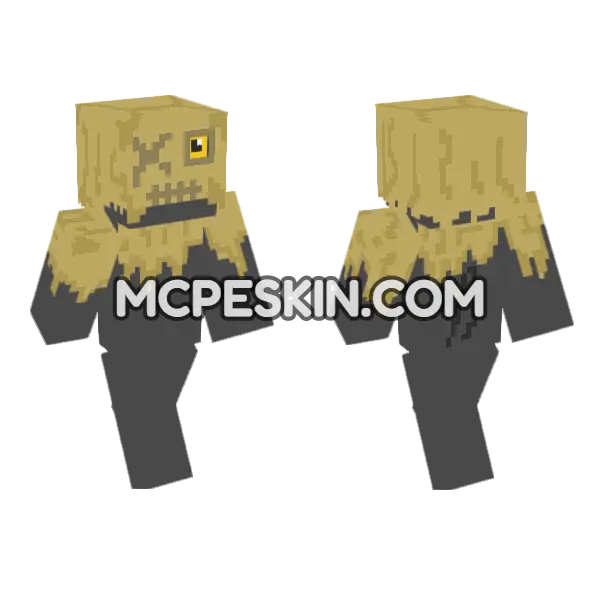 Scarecrow Cat Minecraft Bedrock skin, front and back