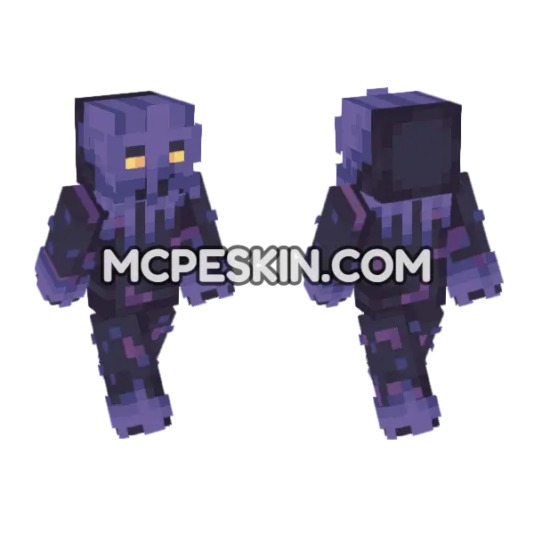 Shadow 14 Minecraft Bedrock skin, front and back