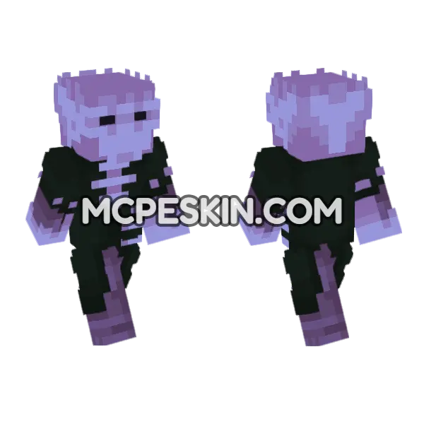 Shadow 23 Minecraft Bedrock skin, front and back
