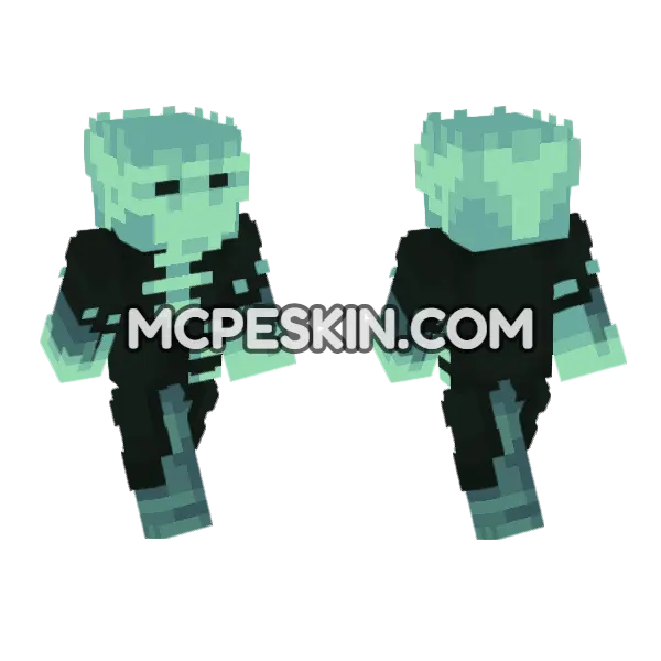 Shadow 5 Minecraft Bedrock skin, front and back