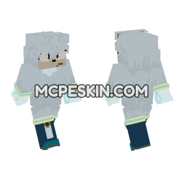Silver The Hedgehog, front and back