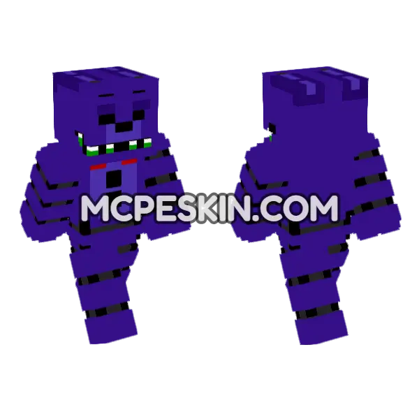 Sinister Bonnie, front and back