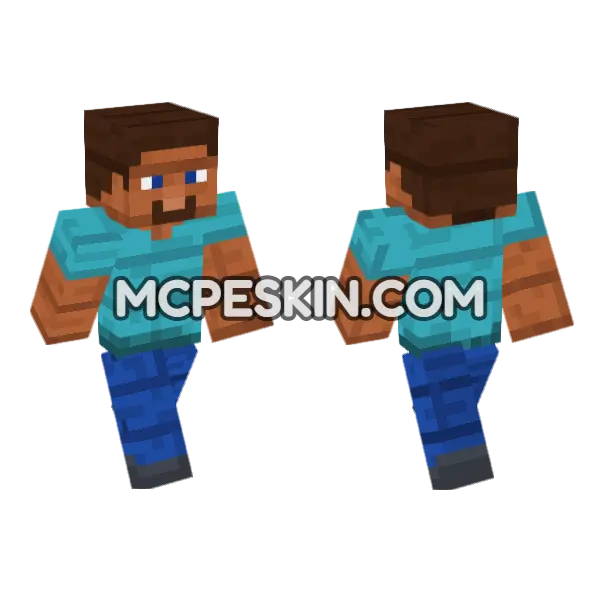 Skin15 Minecraft Bedrock skin, front and back