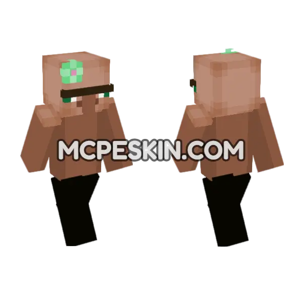 Skin34 Minecraft Bedrock skin, front and back