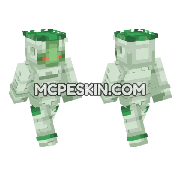 Soft Machine Minecraft Bedrock skin, front and back