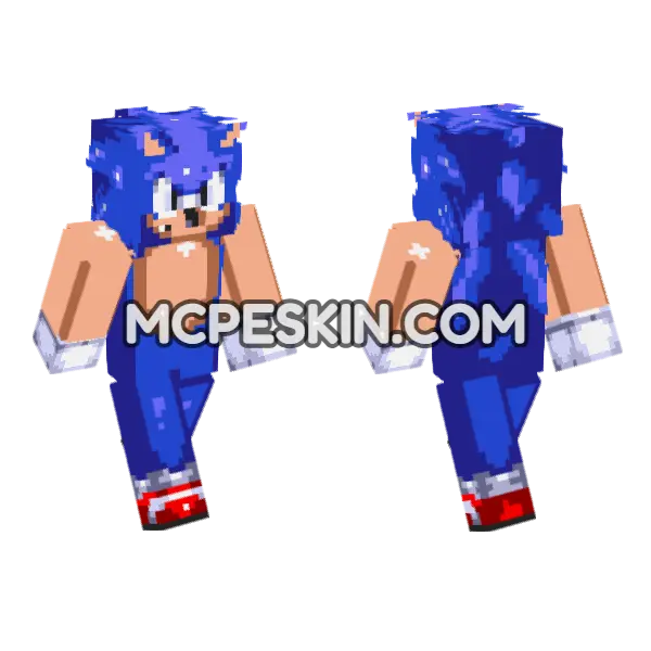 Sonic The Hedgehog, front and back