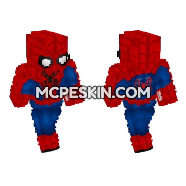 Spider-Man Brand New Day, front and back