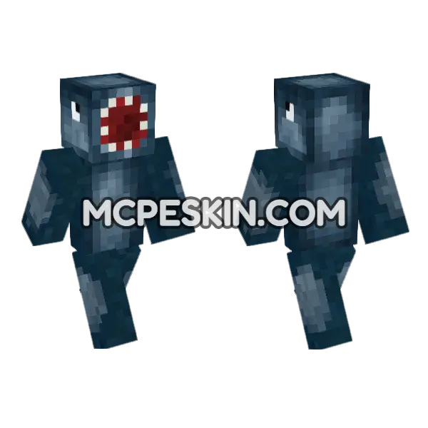 Squid Man Minecraft Bedrock skin, front and back