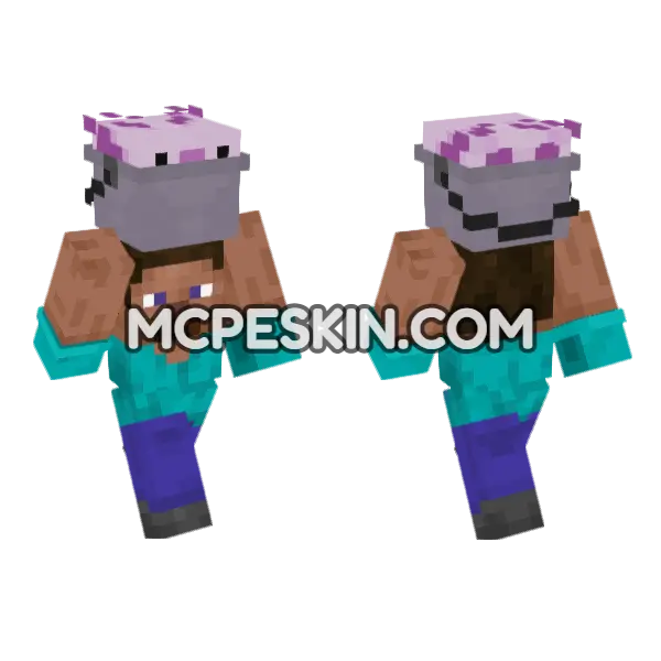 Steve Axolotl Minecraft Bedrock skin, front and back