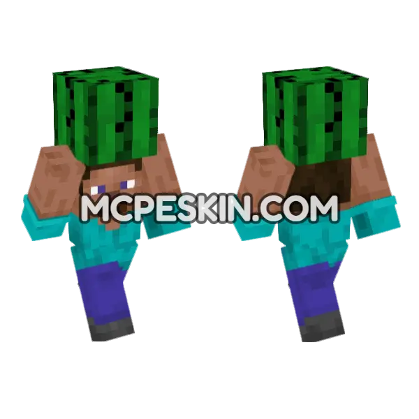 Steve Cactus Minecraft Bedrock skin, front and back
