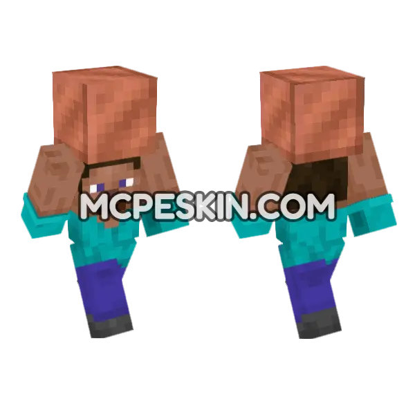 Steve Copper Block Minecraft Bedrock skin, front and back