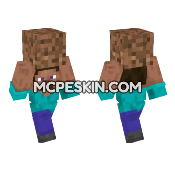 Steve Dirt Skin Minecraft Bedrock skin, front and back