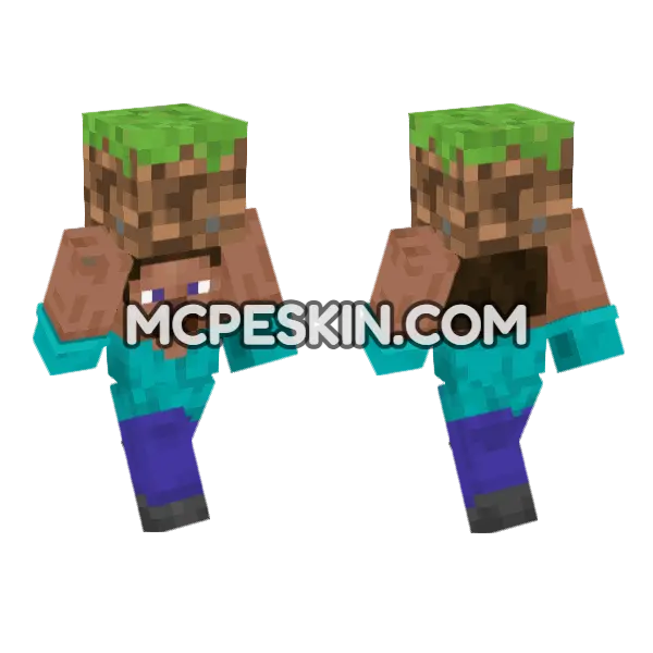Steve Grass Minecraft Bedrock skin, front and back