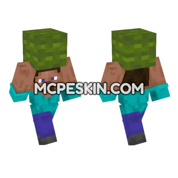 Steve Green Wool Minecraft Bedrock skin, front and back