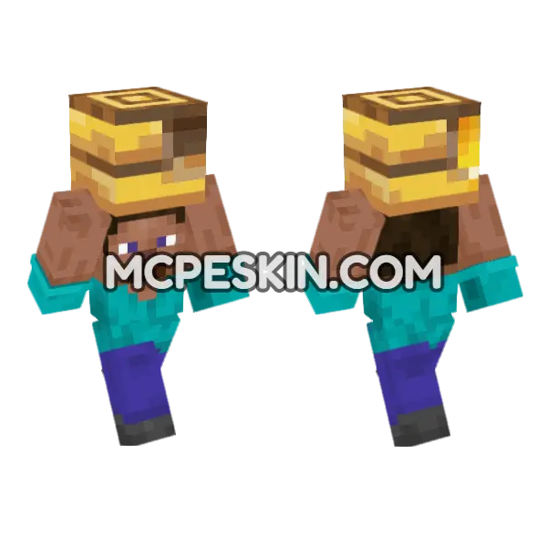 Steve Honey Bee Minecraft Bedrock skin, front and back
