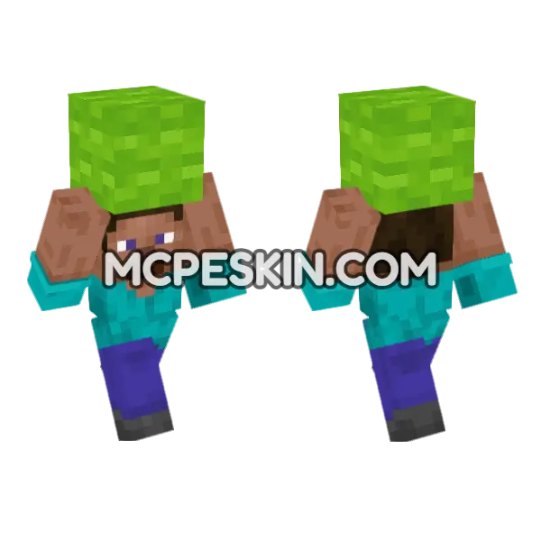 Steve Lime Wool Minecraft Bedrock skin, front and back