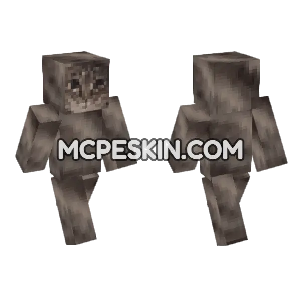 Tabby Cat Outfit, front and back