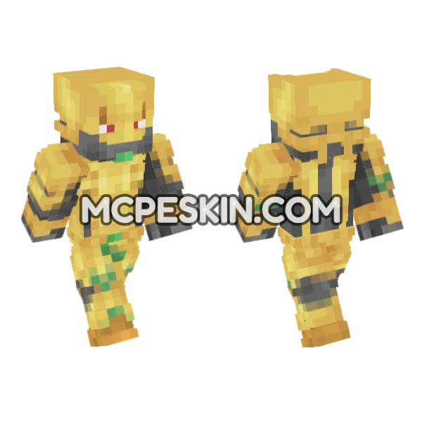 The World Skin Minecraft Bedrock skin, front and back