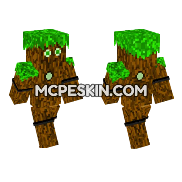 Tree Bot, front and back