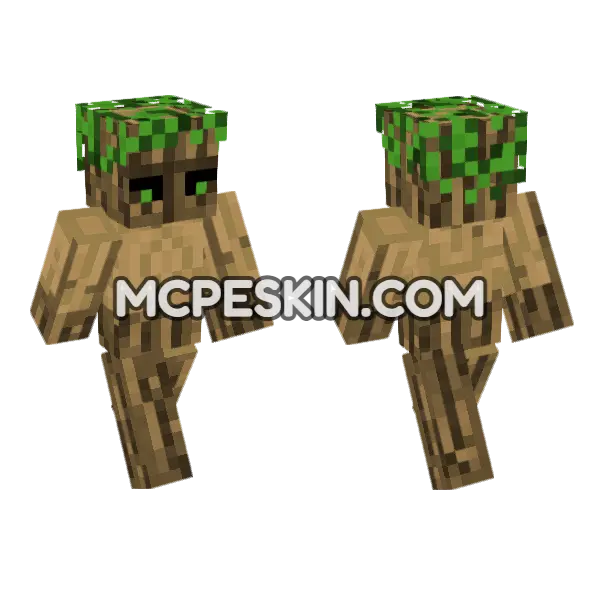 Tree Man Minecraft Bedrock skin, front and back