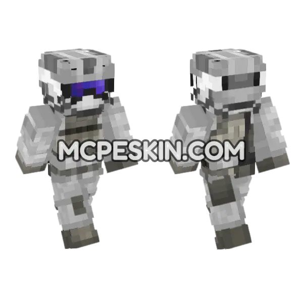 Us Sof Winter Elements V6 Minecraft Bedrock skin, front and back