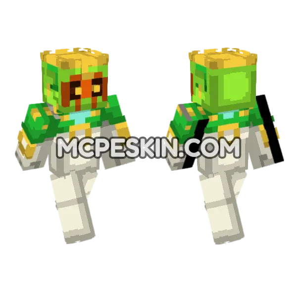 Vitamin C Minecraft Bedrock skin, front and back