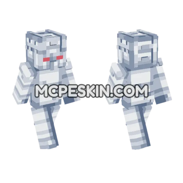 Weather Report Skin Minecraft Bedrock skin, front and back