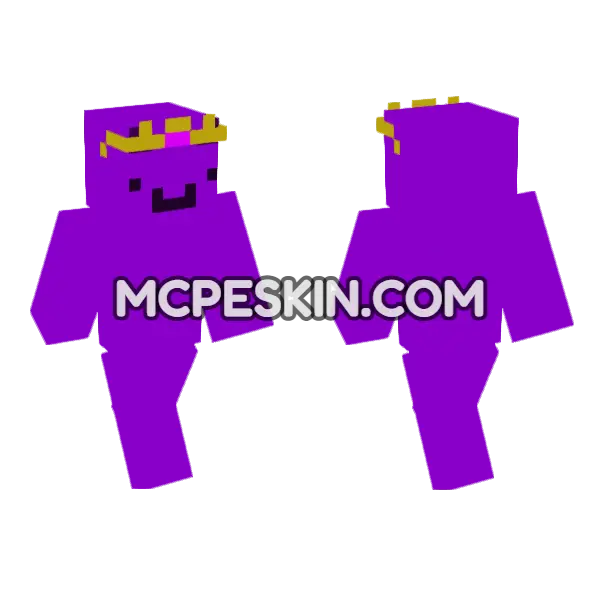 Wemmbu Minecraft Bedrock skin, front and back