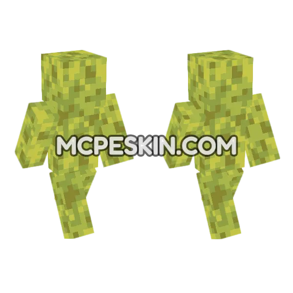 Wet Sponge Minecraft Bedrock skin, front and back