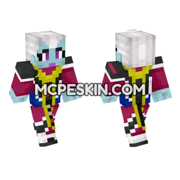 Whis Skin Minecraft Bedrock skin, front and back