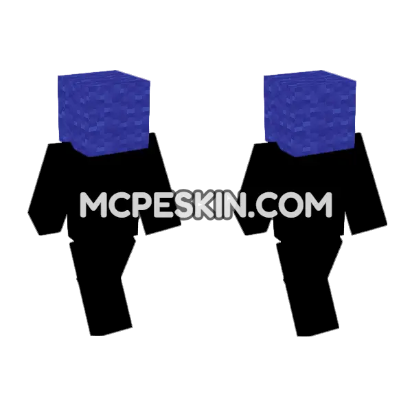 Woodb Skin Minecraft Bedrock skin, front and back