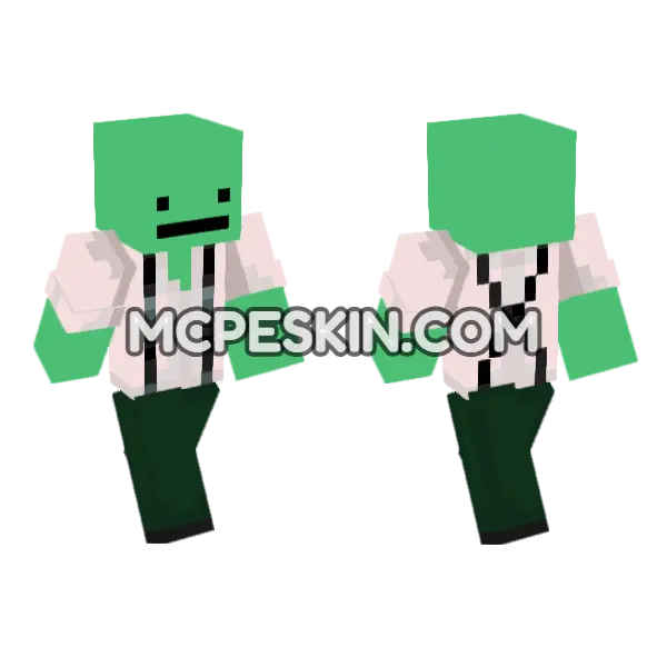 Wyll Minecraft Bedrock skin, front and back
