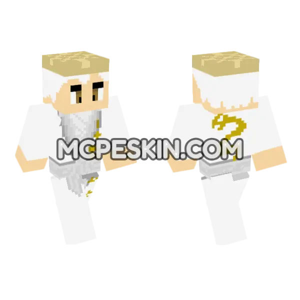 Young Hikaru Ninjago Master, front and back