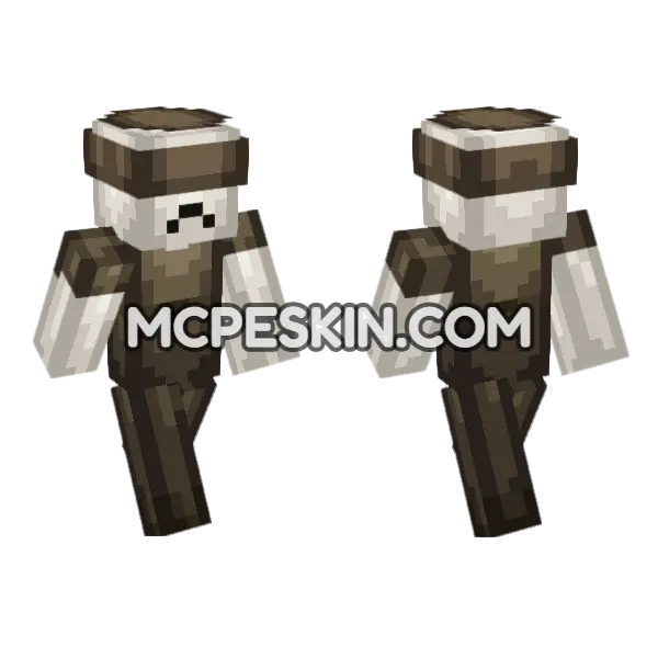 Zombie Farmer Skeleton Minecraft Bedrock skin, front and back